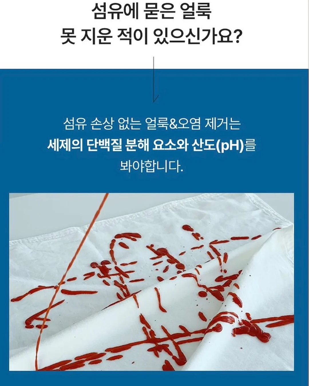 거북이 반지 13