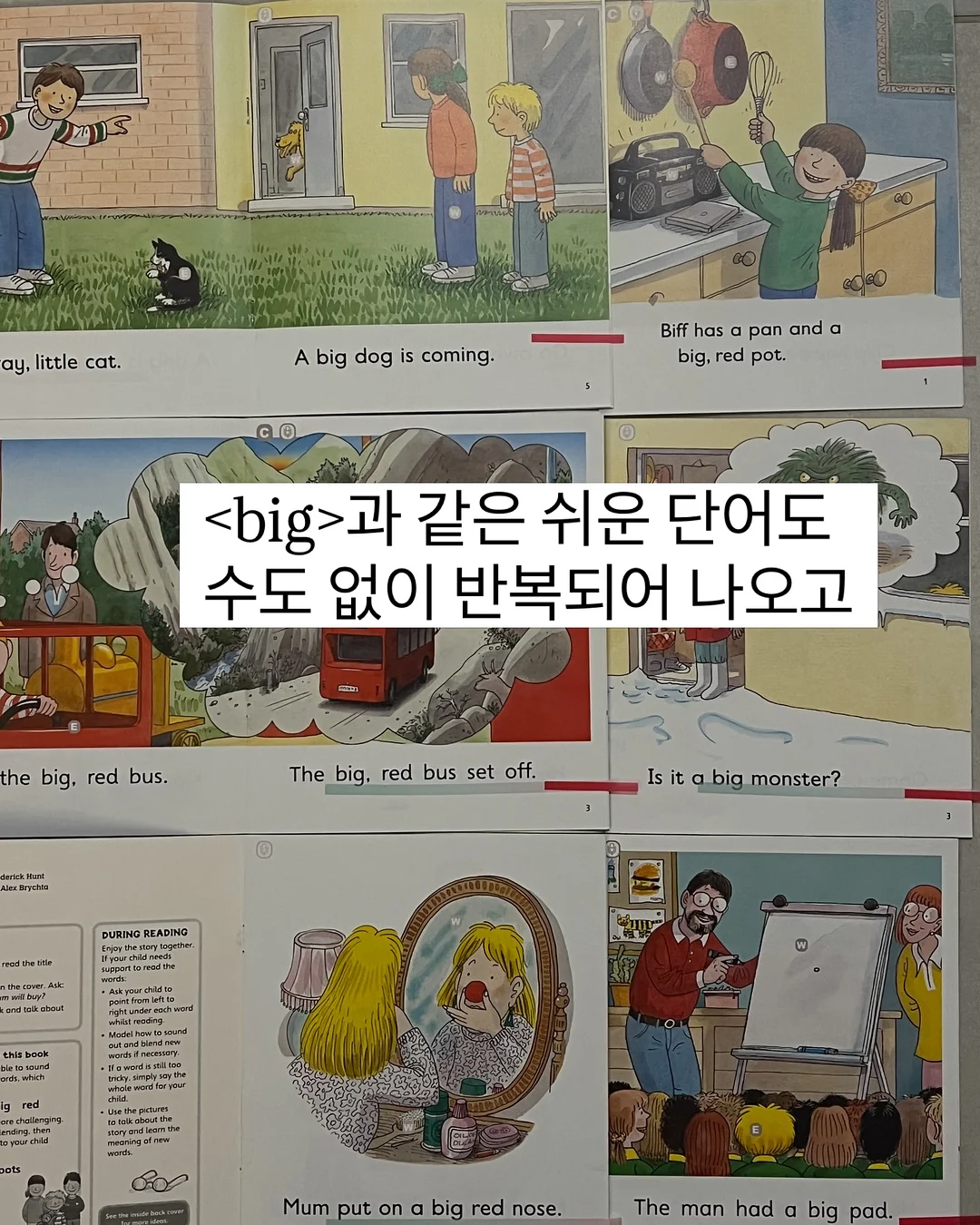 샤키칩 12