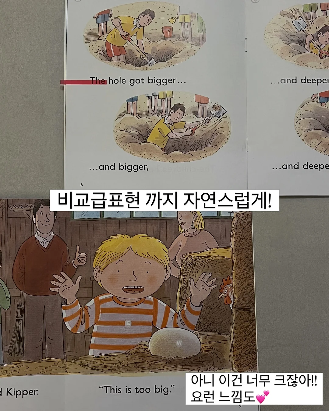 샤키칩 13