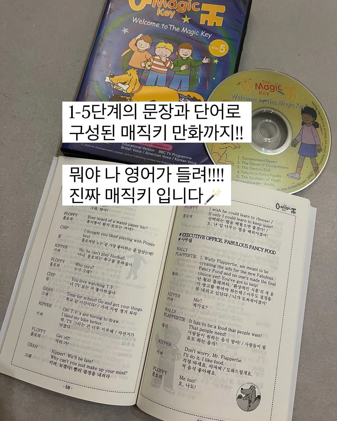 샤키칩 17