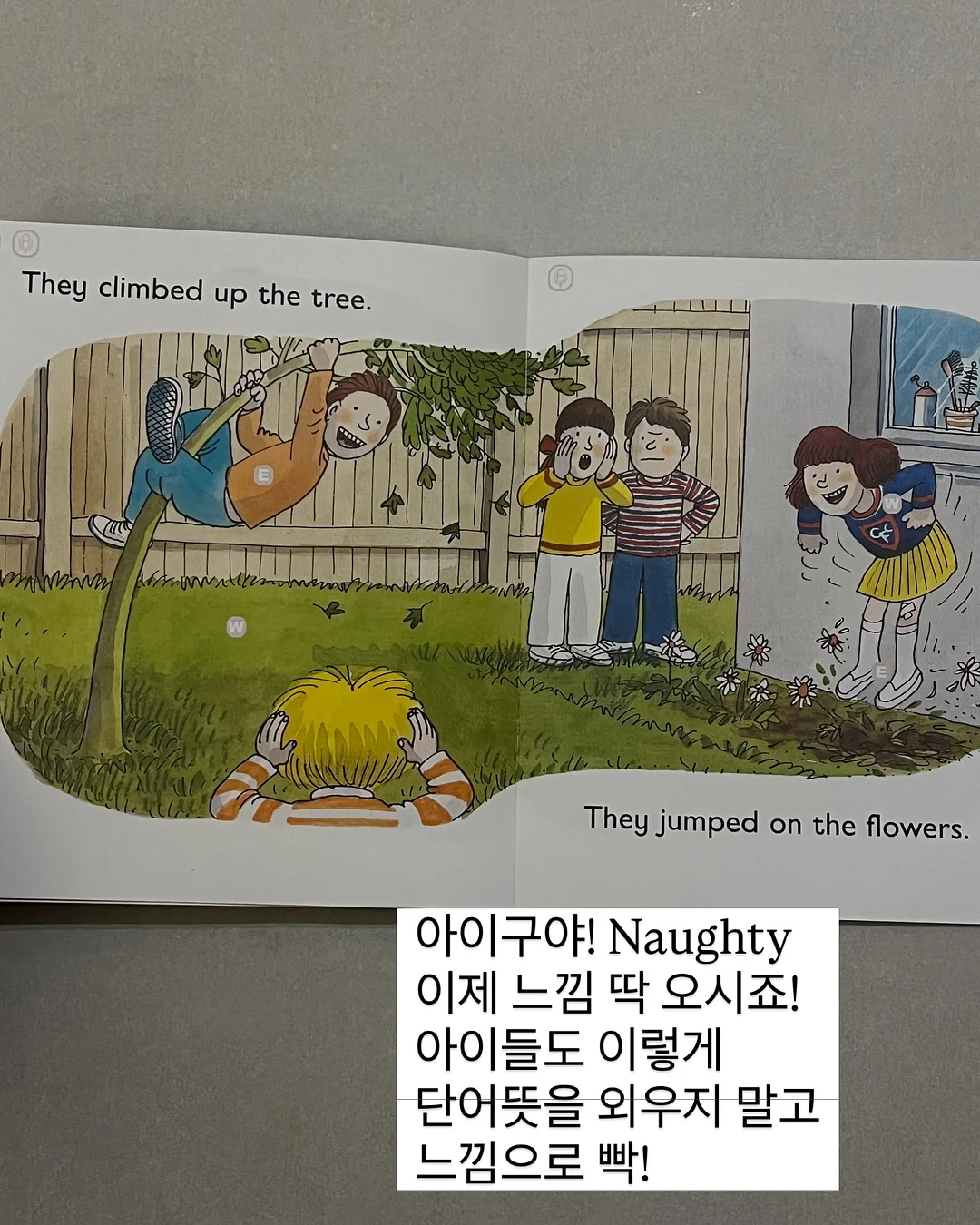샤키칩 10