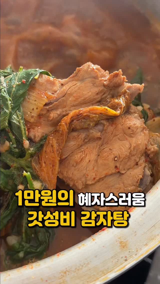 수영복