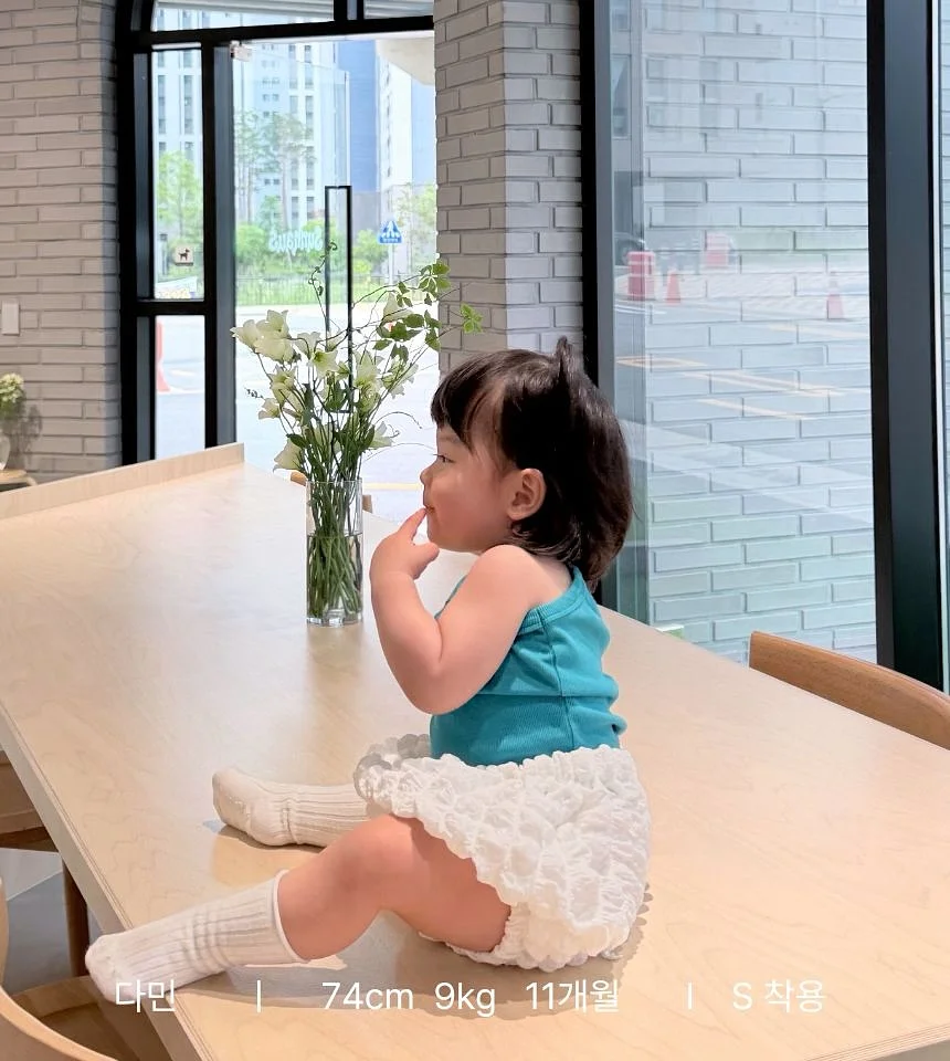 디아베크진 12