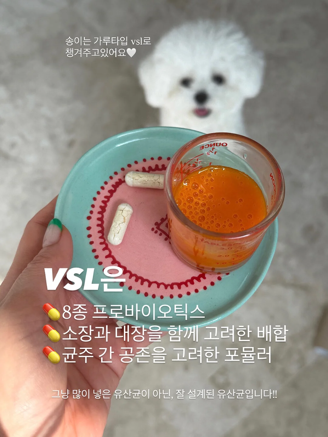 오늘31 후코이단 새틴 에센스 토너 3