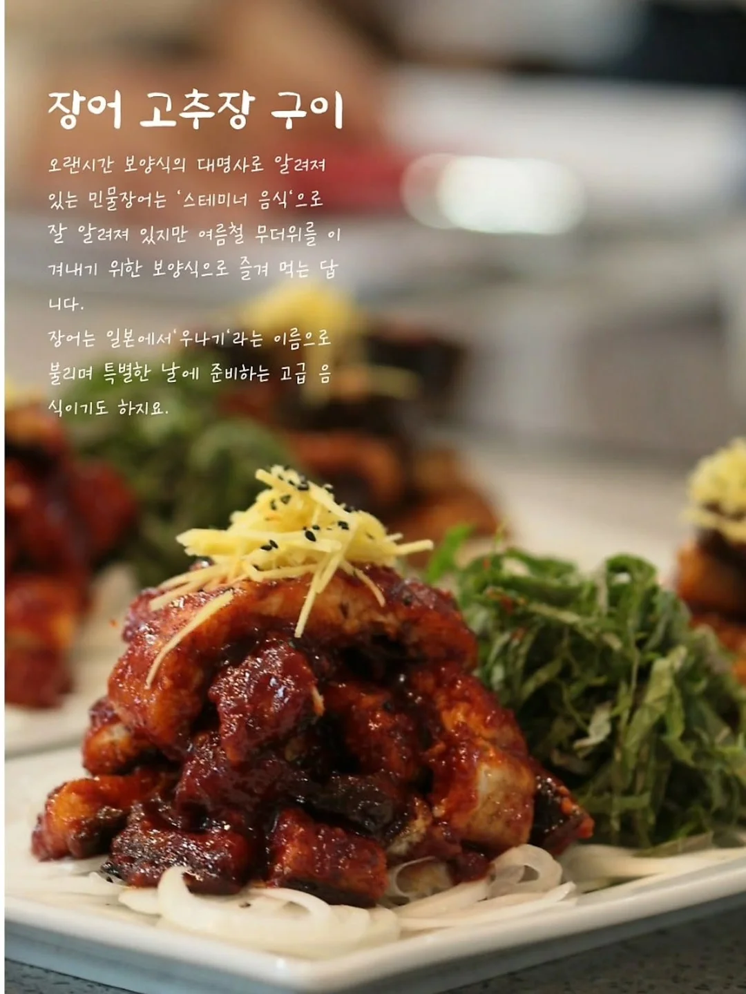 팜스 테라비타 5