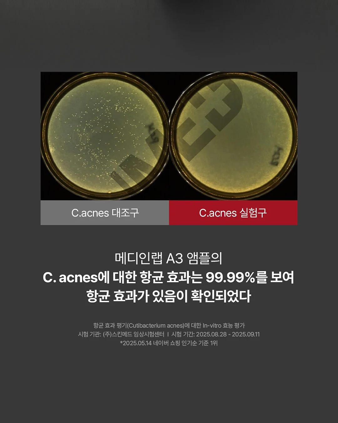 모듬 쌈채소 2