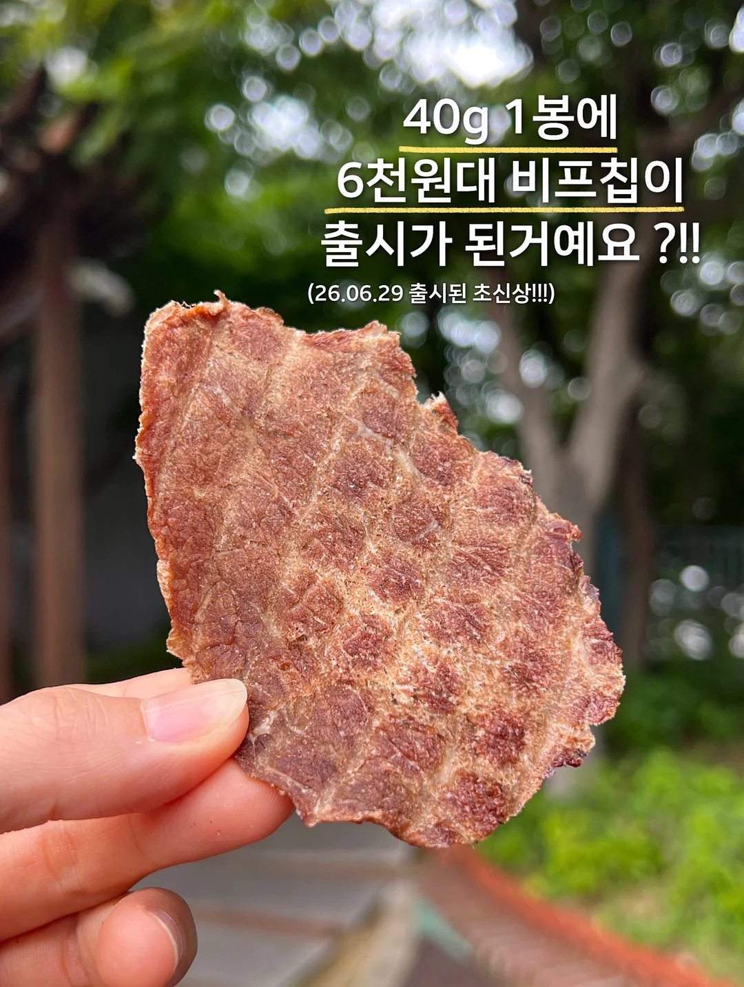 가정의 달 선물세트 6