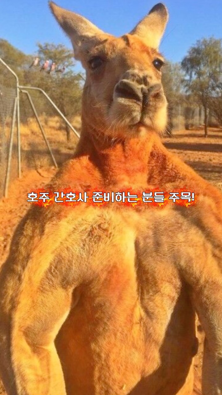 LETTERS OF LOVE 패키지