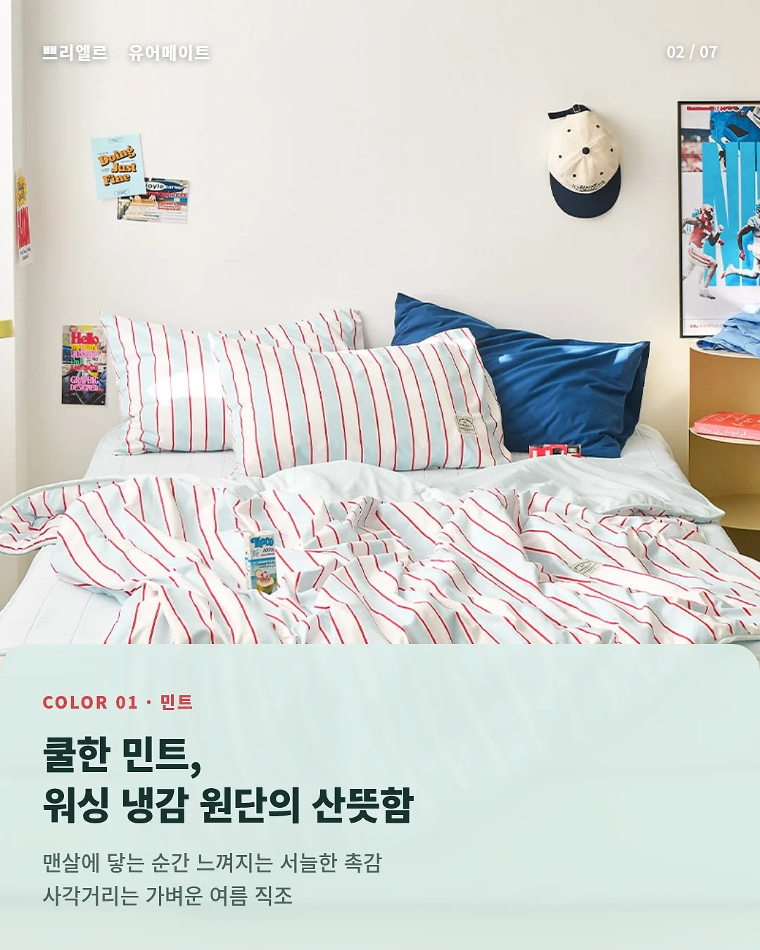 모란 라임코코티 2