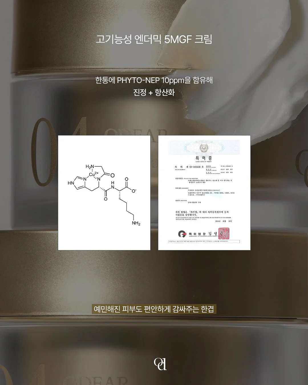 일심이 치료비 후원 4