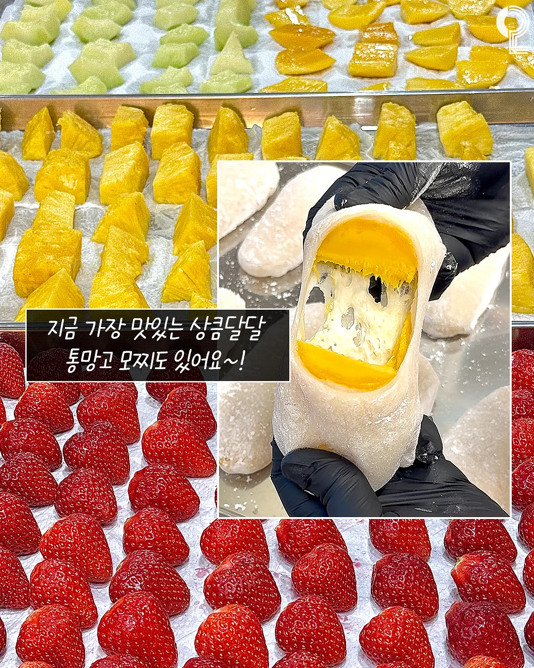 꼼파뇨키즈 시그니처 그래픽 티셔츠 5