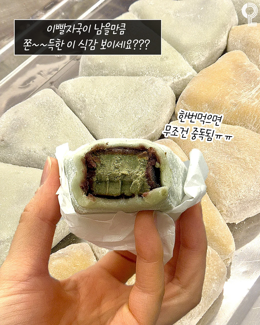 꼼파뇨키즈 시그니처 그래픽 티셔츠 8