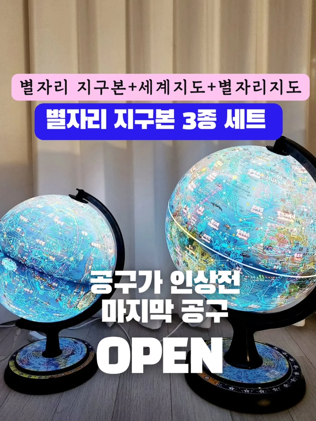 목수국 '다루마' / 미국수국 아나벨 1