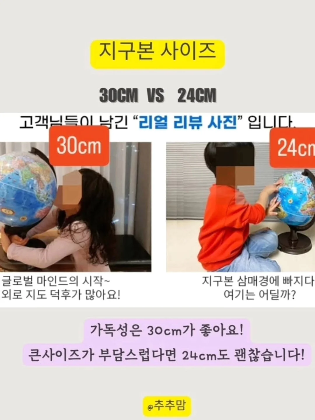 목수국 '다루마' / 미국수국 아나벨 15