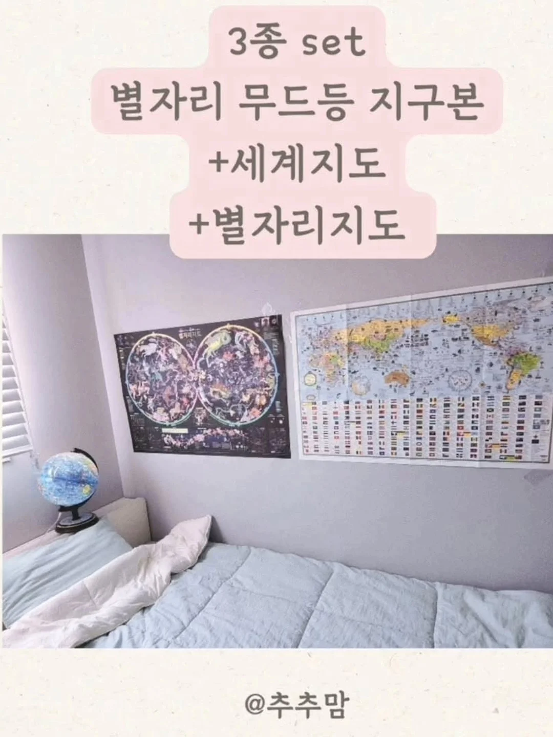 목수국 '다루마' / 미국수국 아나벨 16