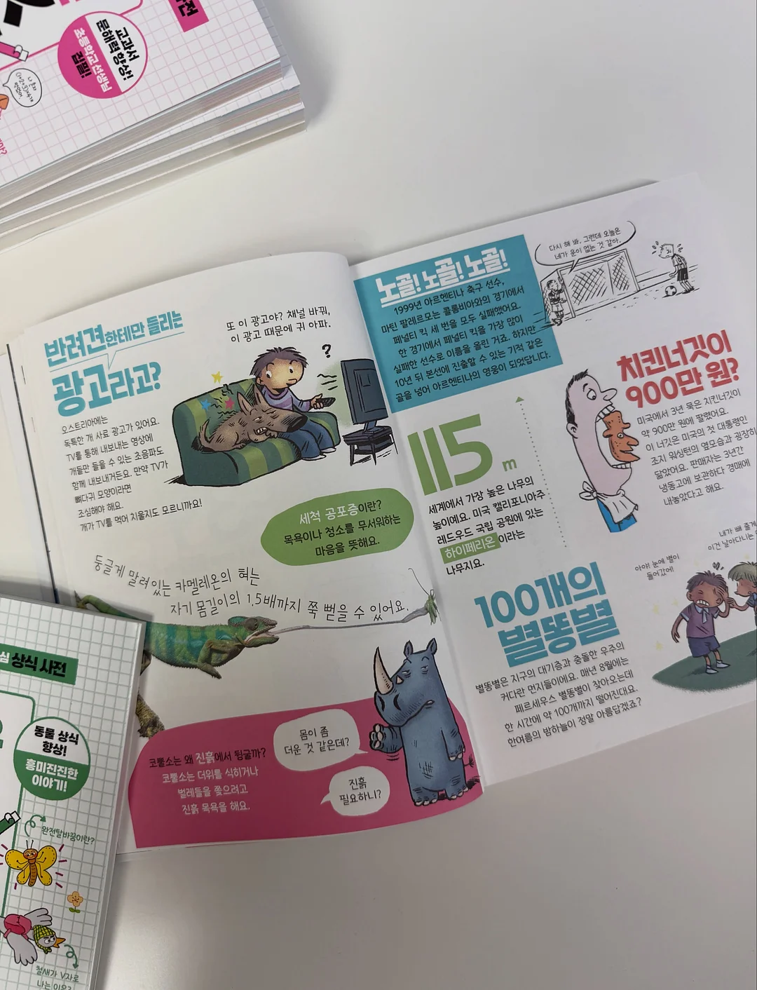 롤라이35S 필름 카메라 16