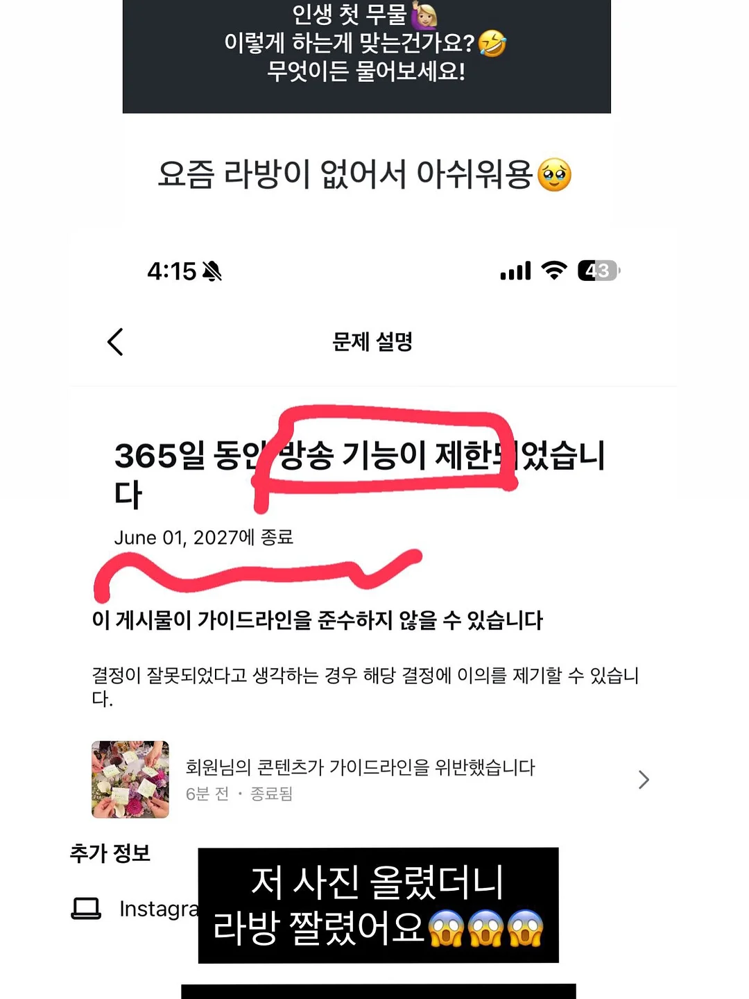 텔라진 반바지 7