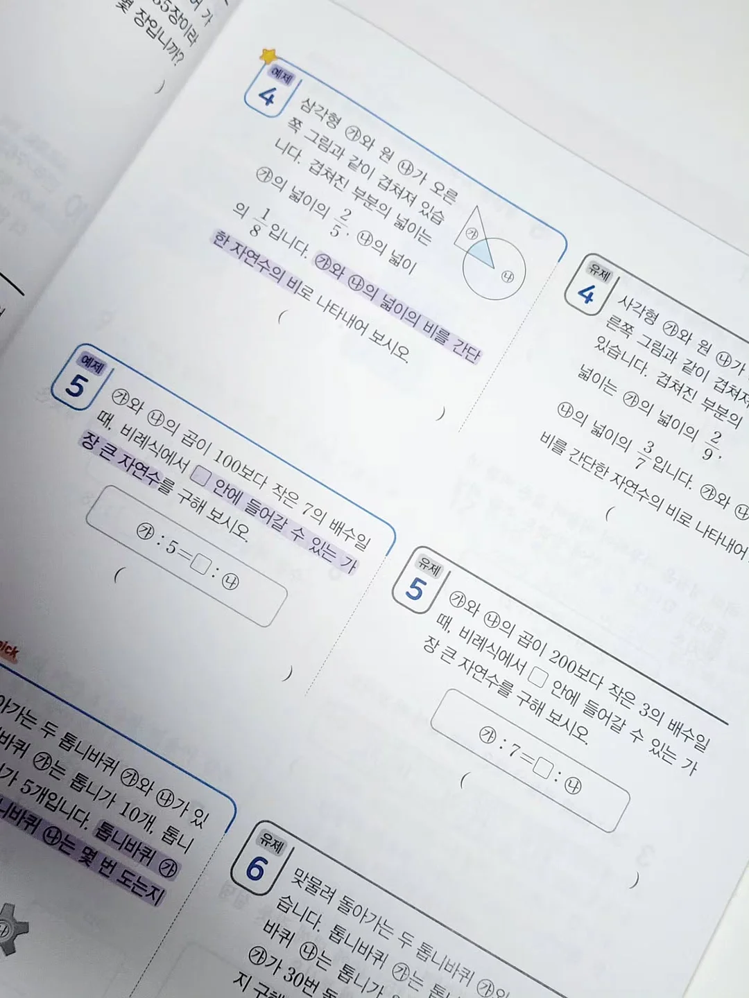 러플 파이핑 연습 5
