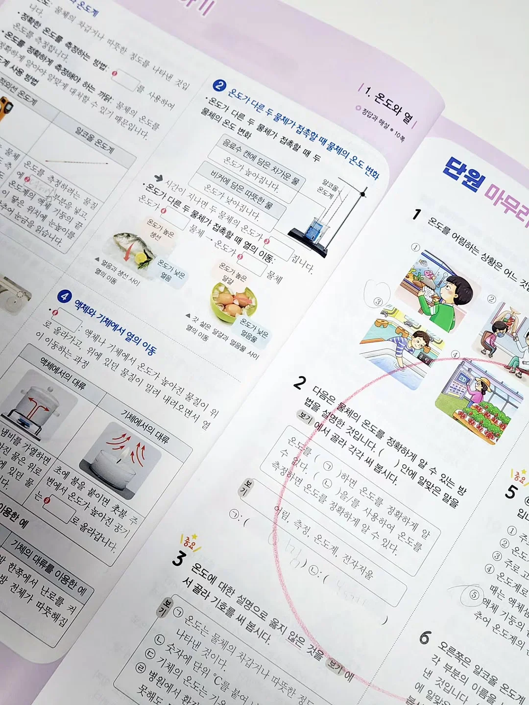 러플 파이핑 연습 7