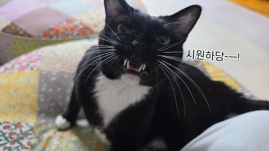 접이식 벤치테이블 5