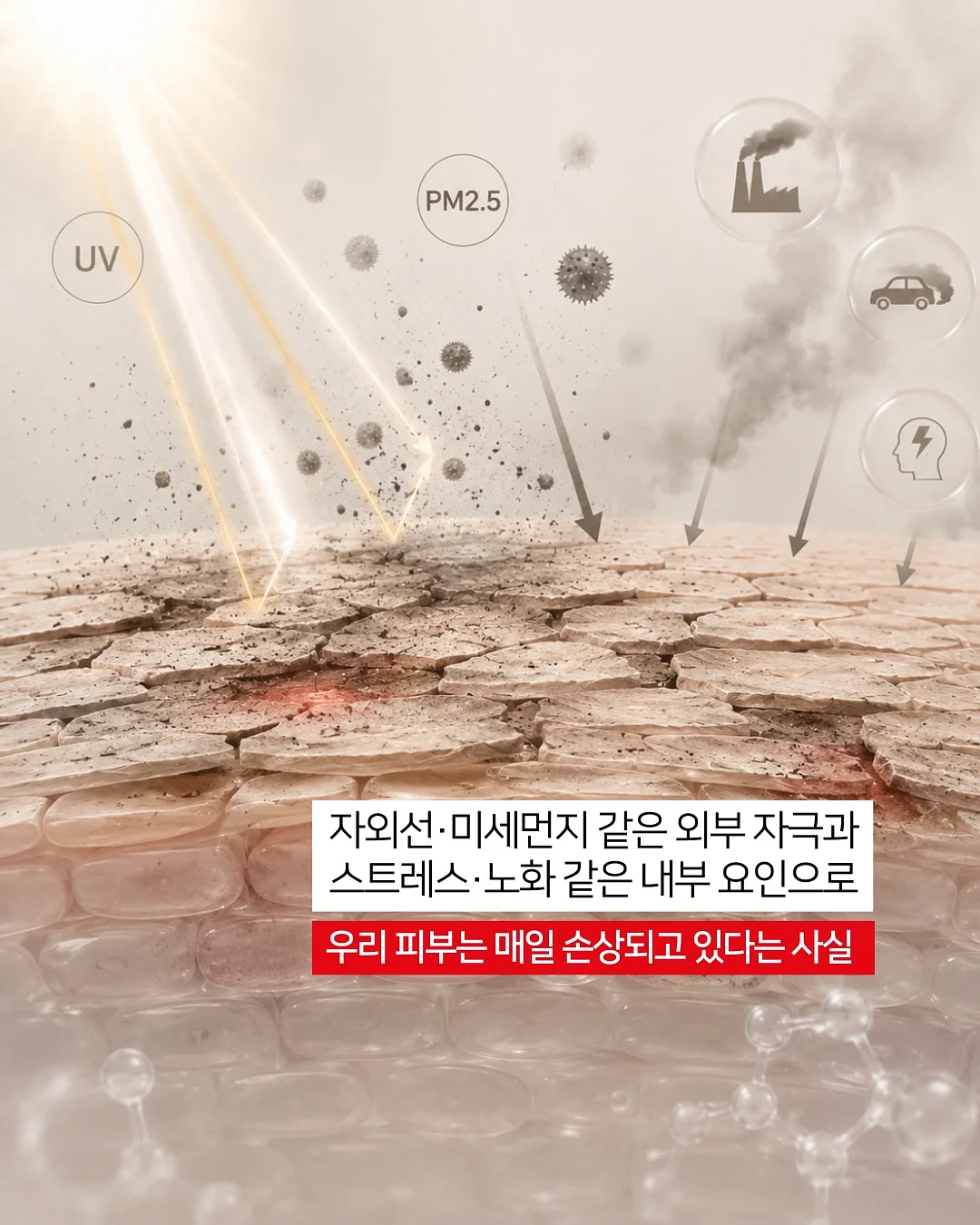 디저트 원데이클래스 2
