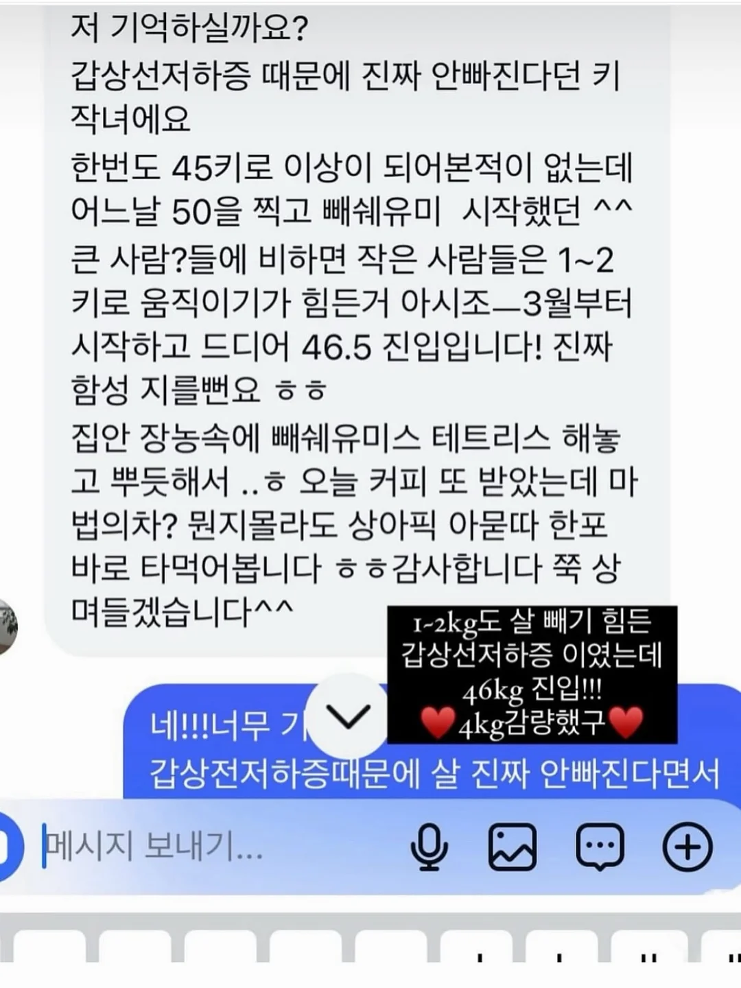 안정기 다이어트 15
