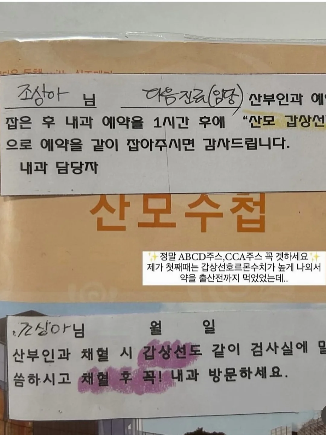 안정기 다이어트 2