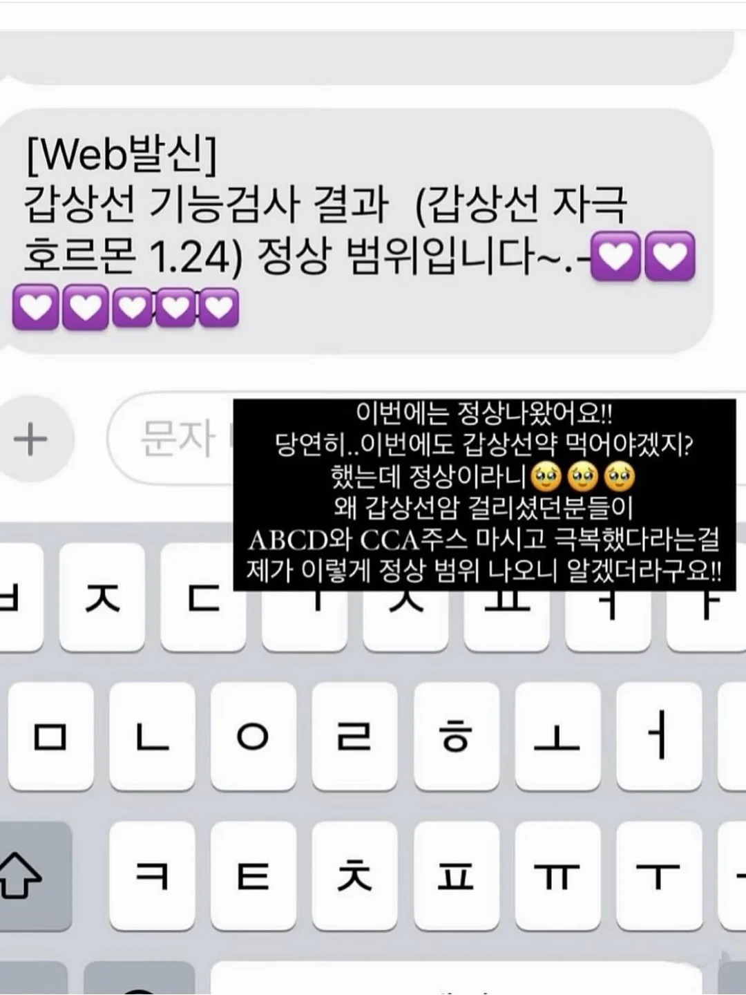 안정기 다이어트 3