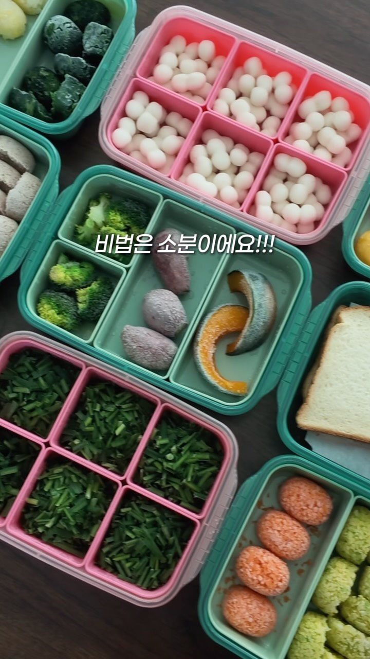 이영애 효소