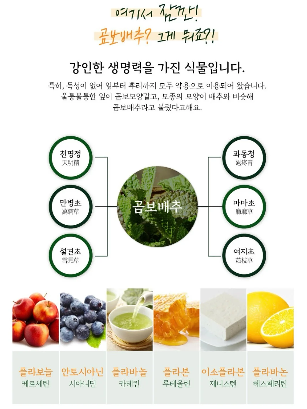 빈티지명품 15