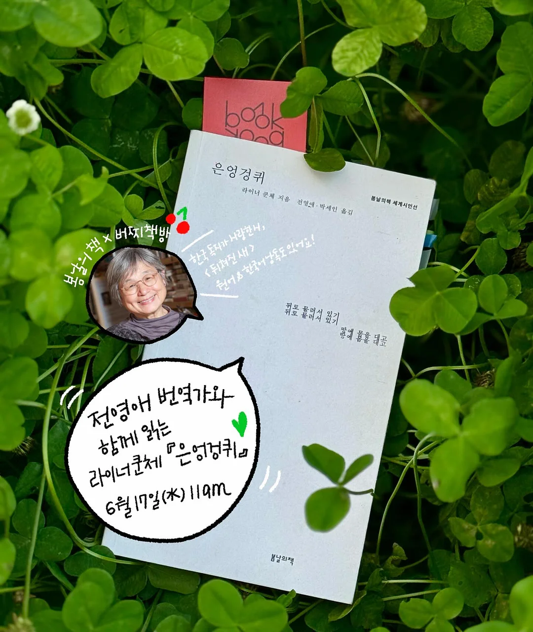 타오캡슐 1
