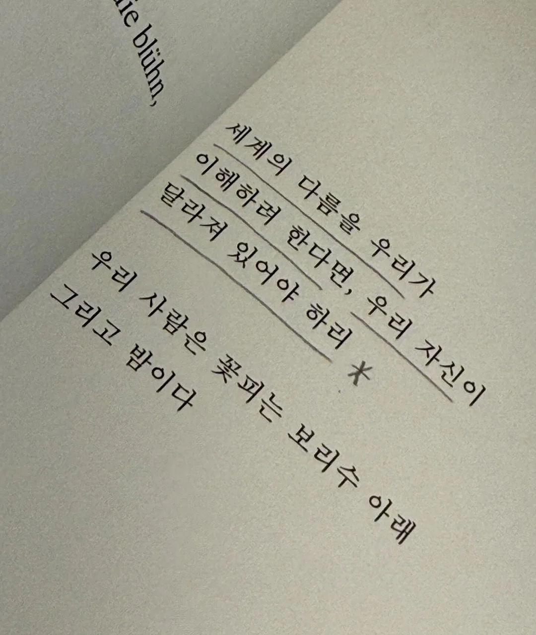 타오캡슐 2