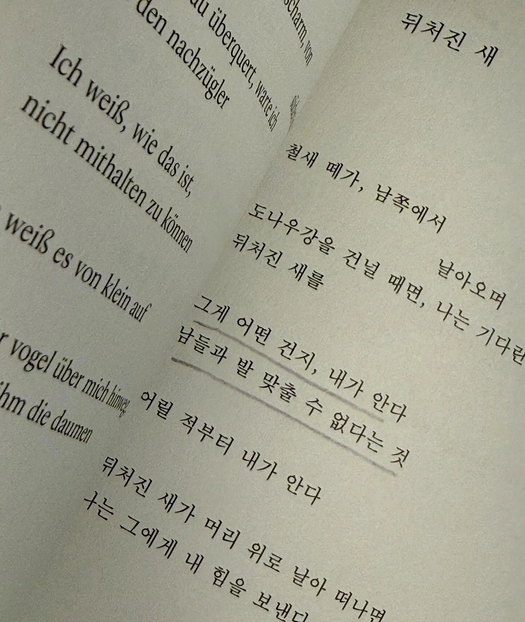 타오캡슐 3