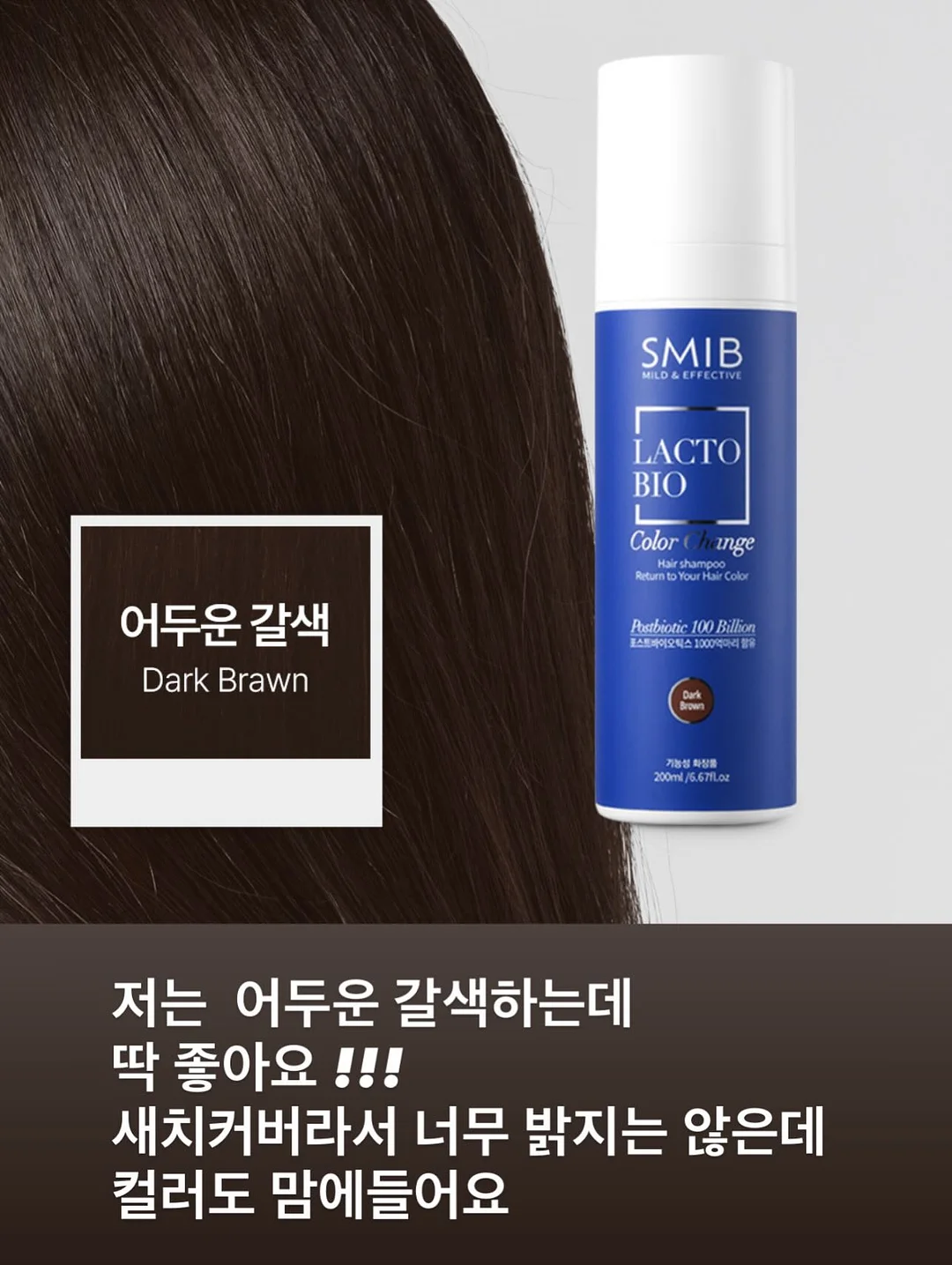 모기 퇴치기 8