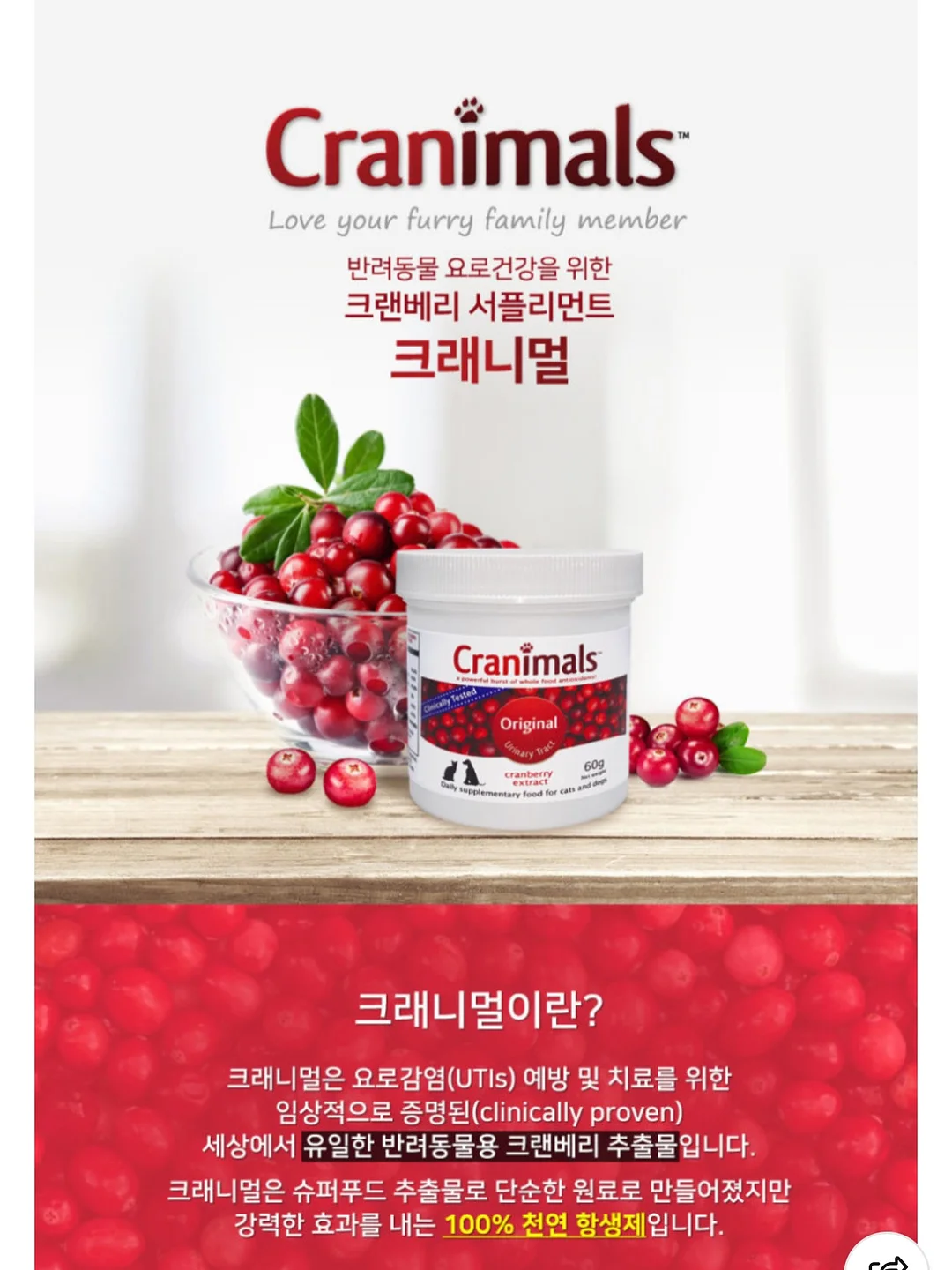반전 디테일 키링 2
