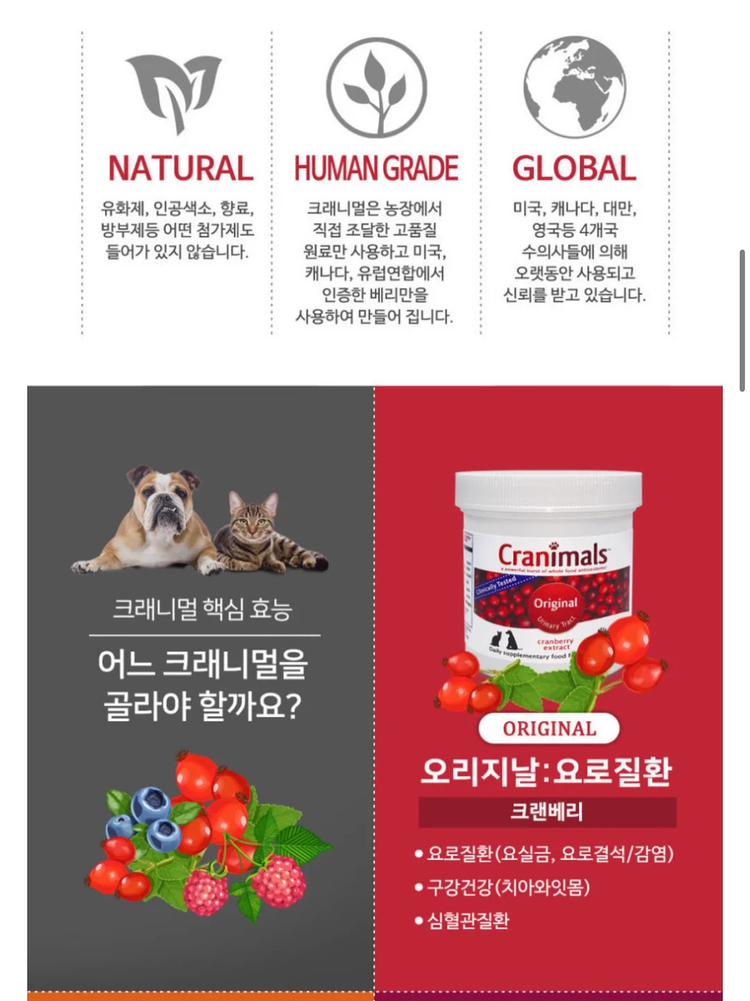 반전 디테일 키링 3