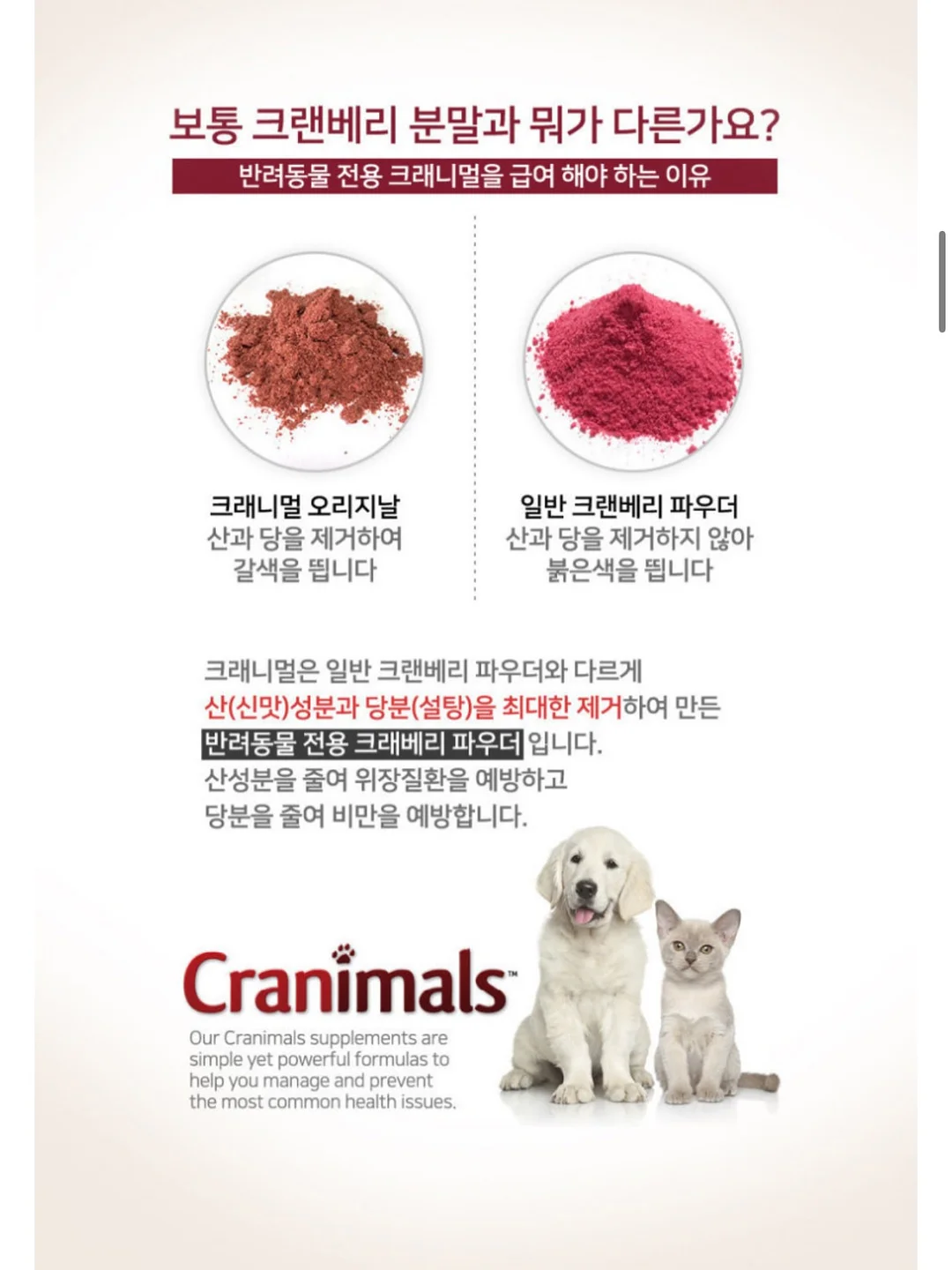 반전 디테일 키링 5