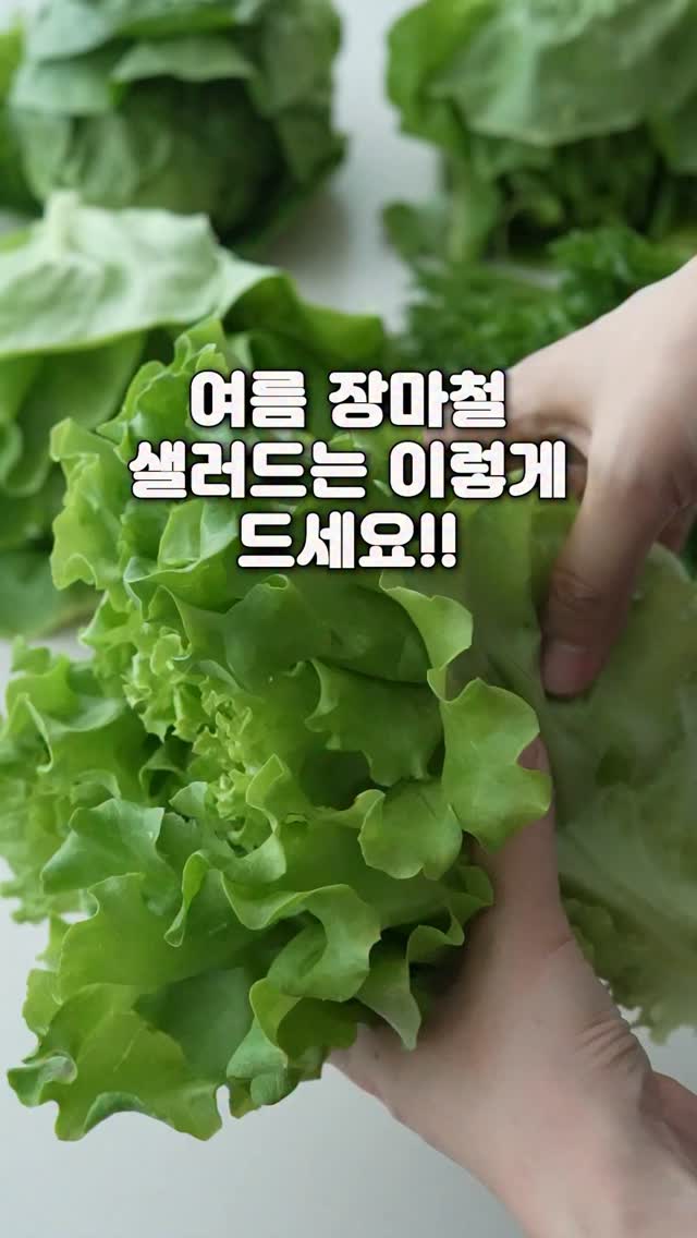 멜라토닌 수면 패치
