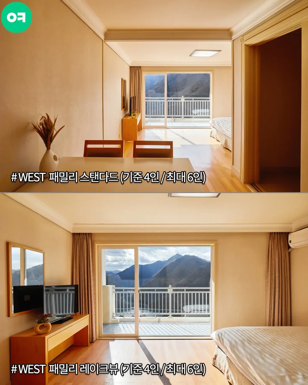 도트 라운드 반팔 블라우스 5
