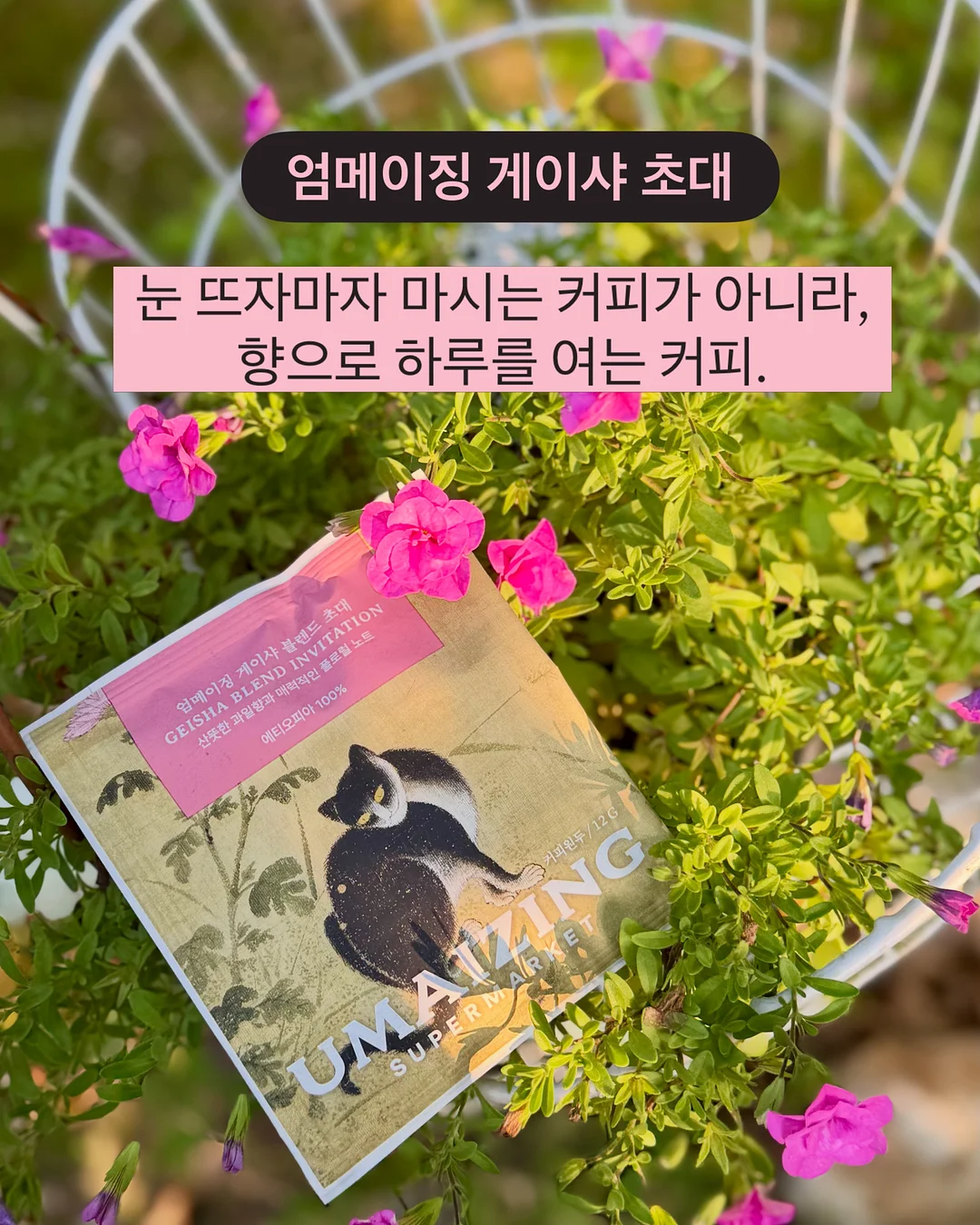 디올 부츠 2