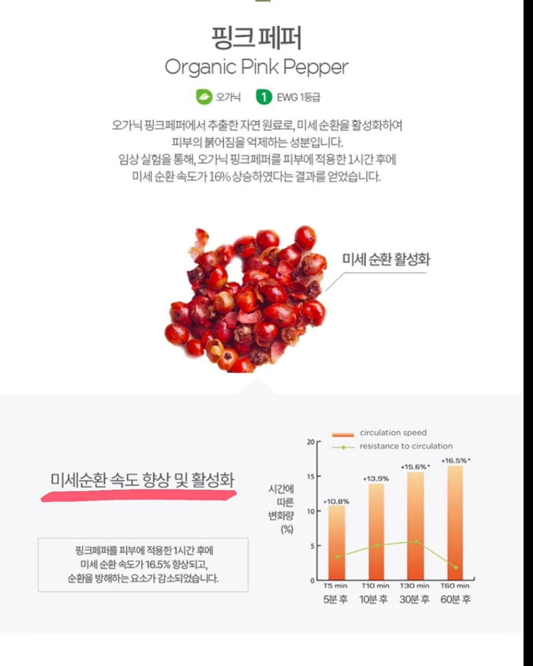 플립플랍 19