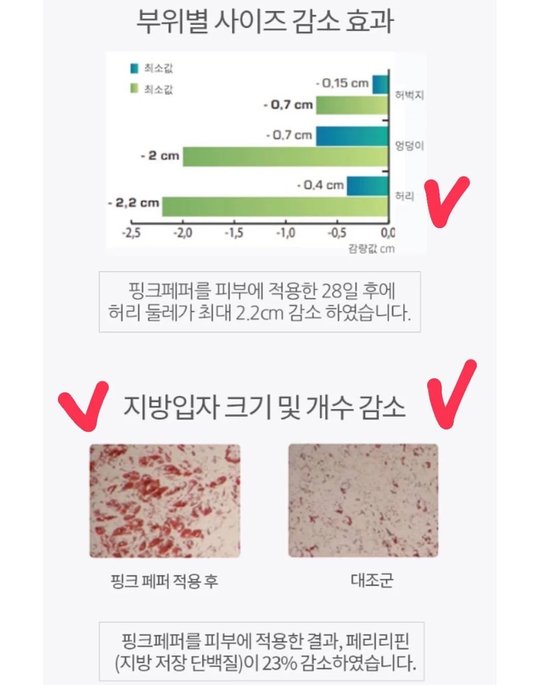 플립플랍 20