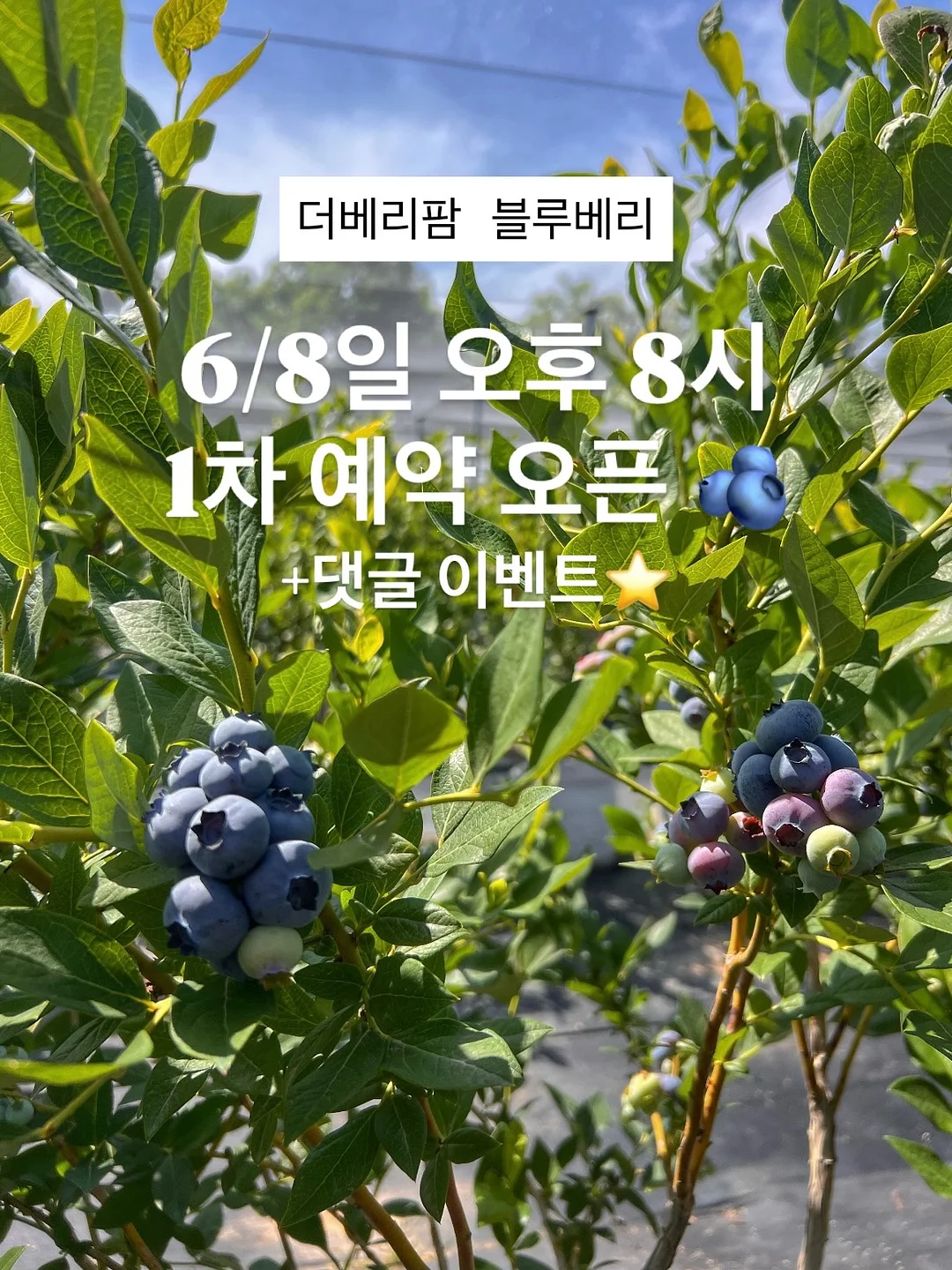 돈시몬 선물&파티 음료 1