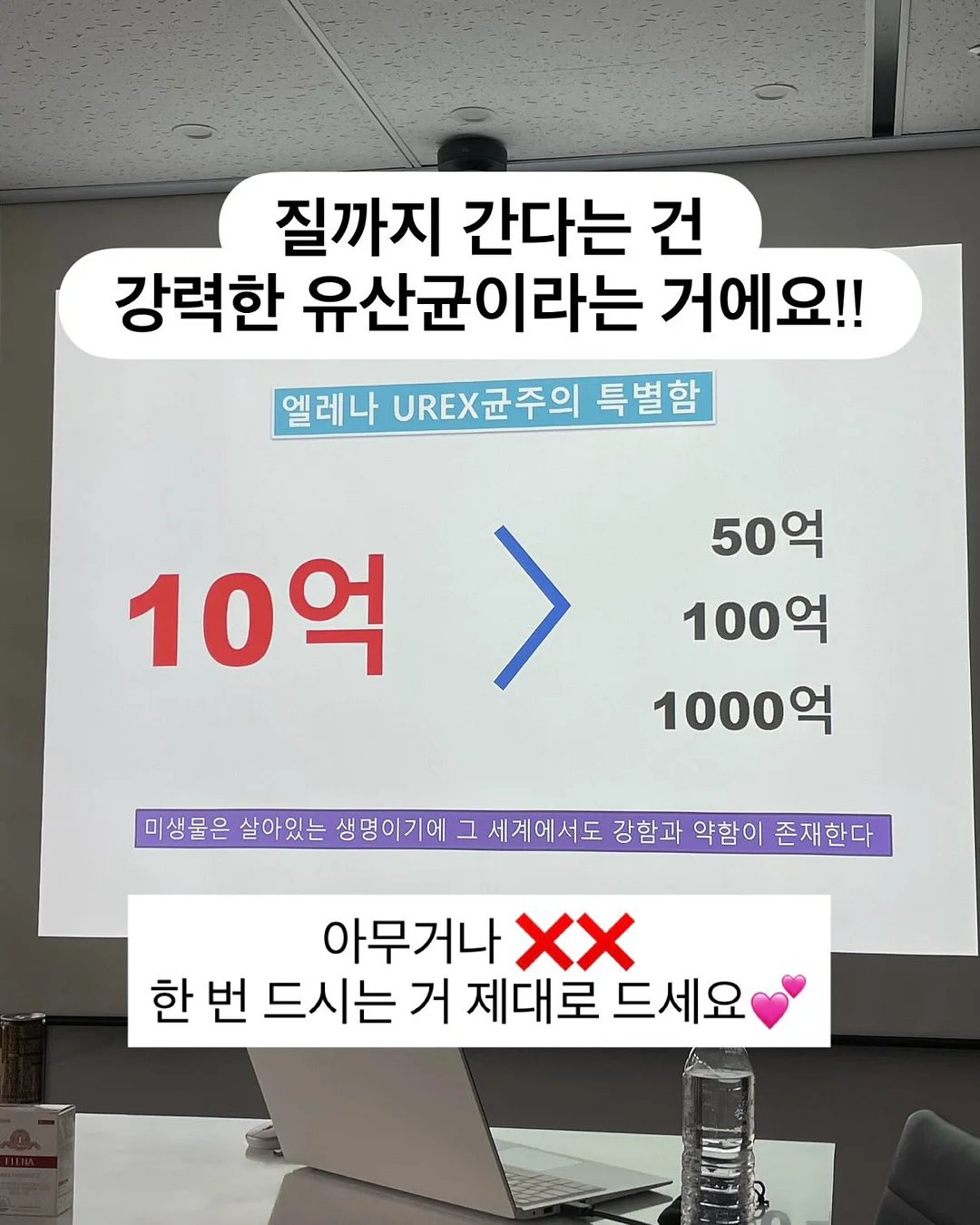 토마토 잠옷 3