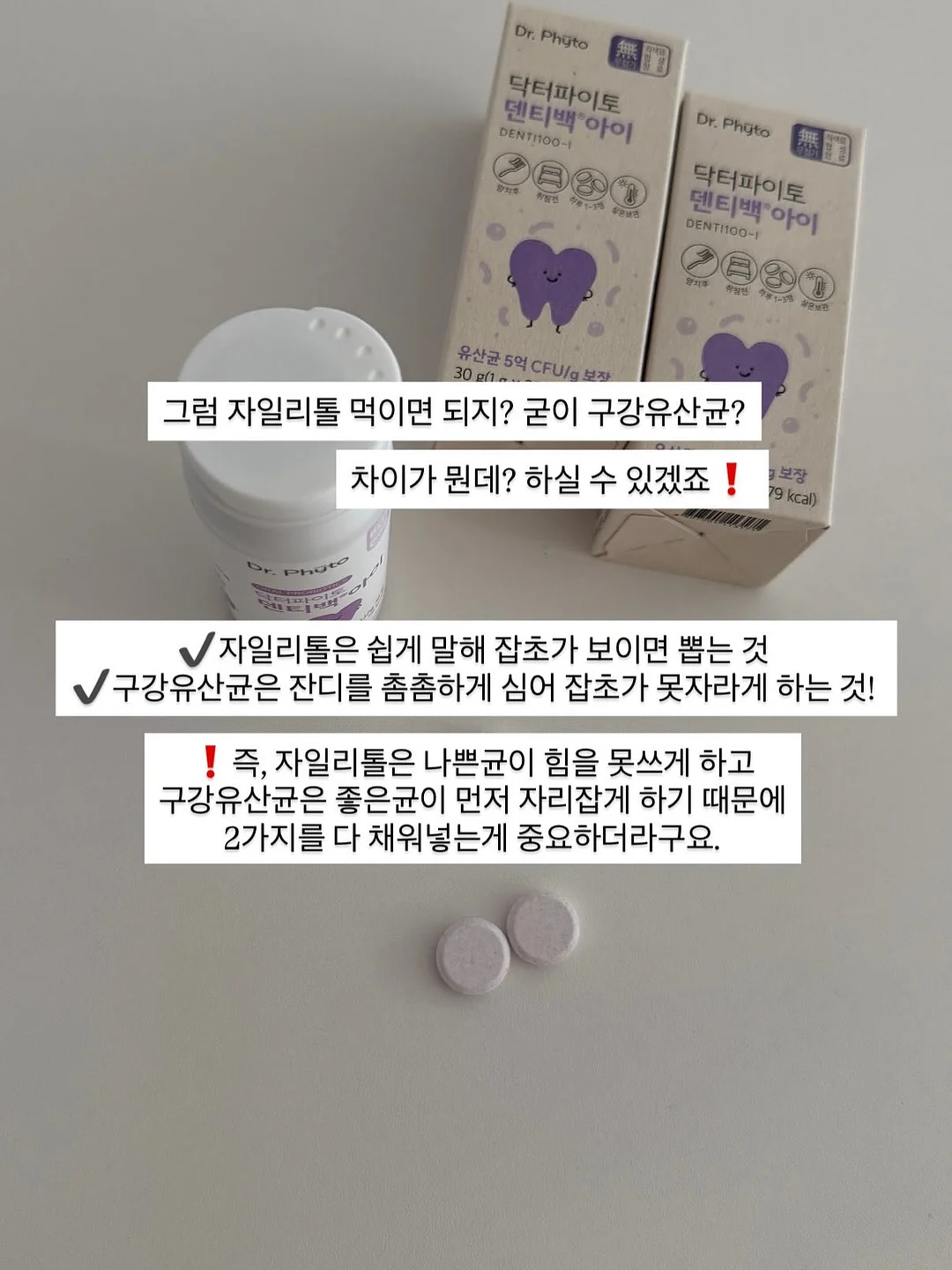 페인트 패드 6