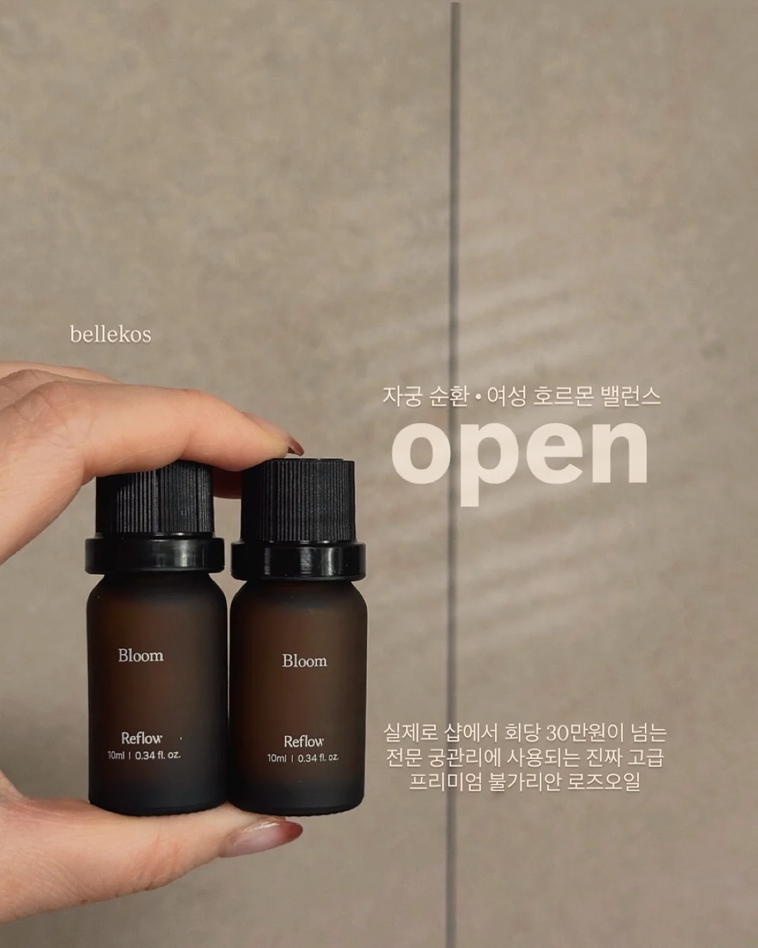 성총사 비스마르크 1