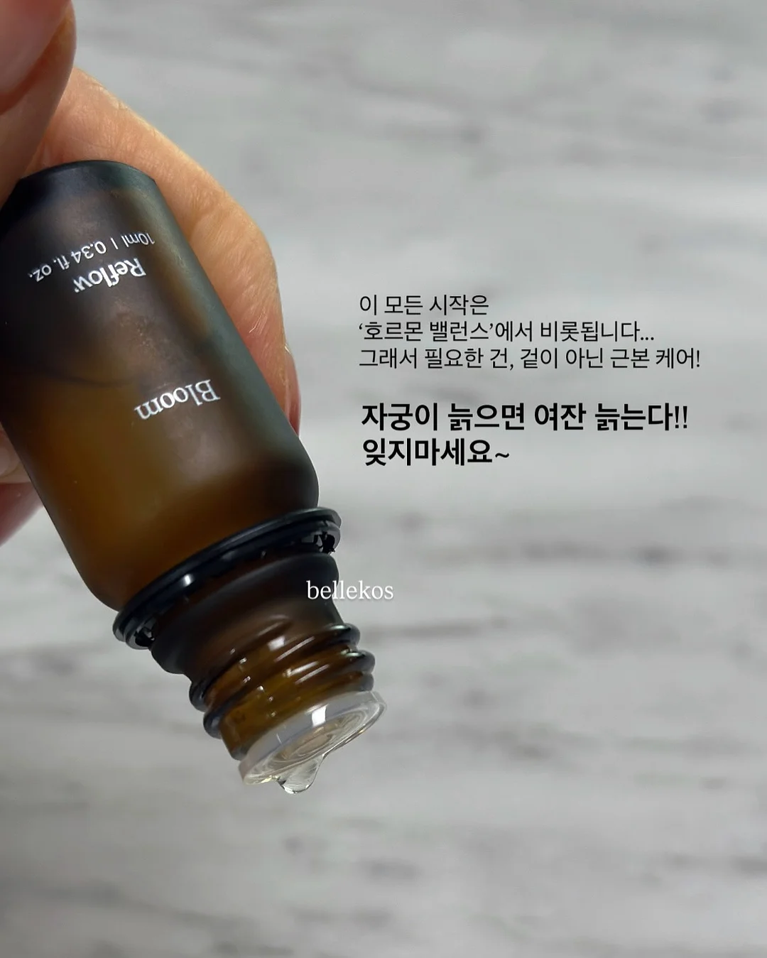 성총사 비스마르크 16