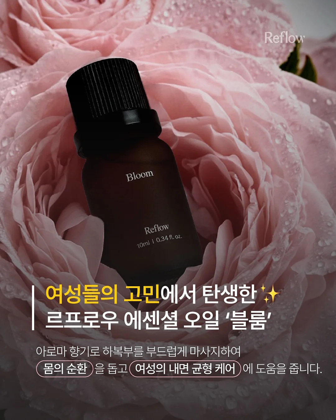 성총사 비스마르크 17