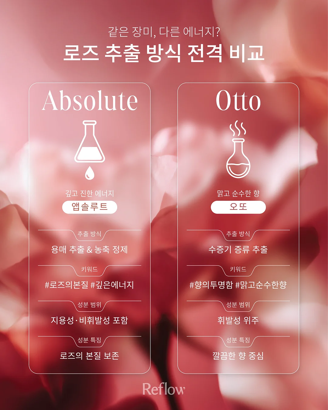 성총사 비스마르크 19