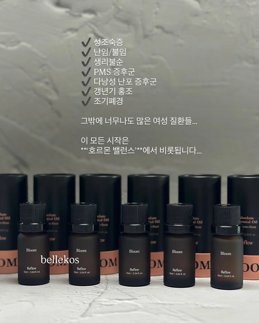 성총사 비스마르크 5